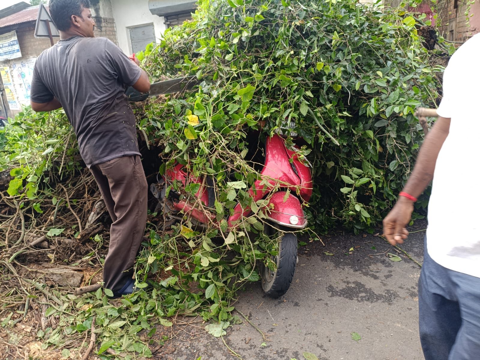 গাছ ভেঙে ভয়াবহ দুর্ঘটনা ধনেখালিতে