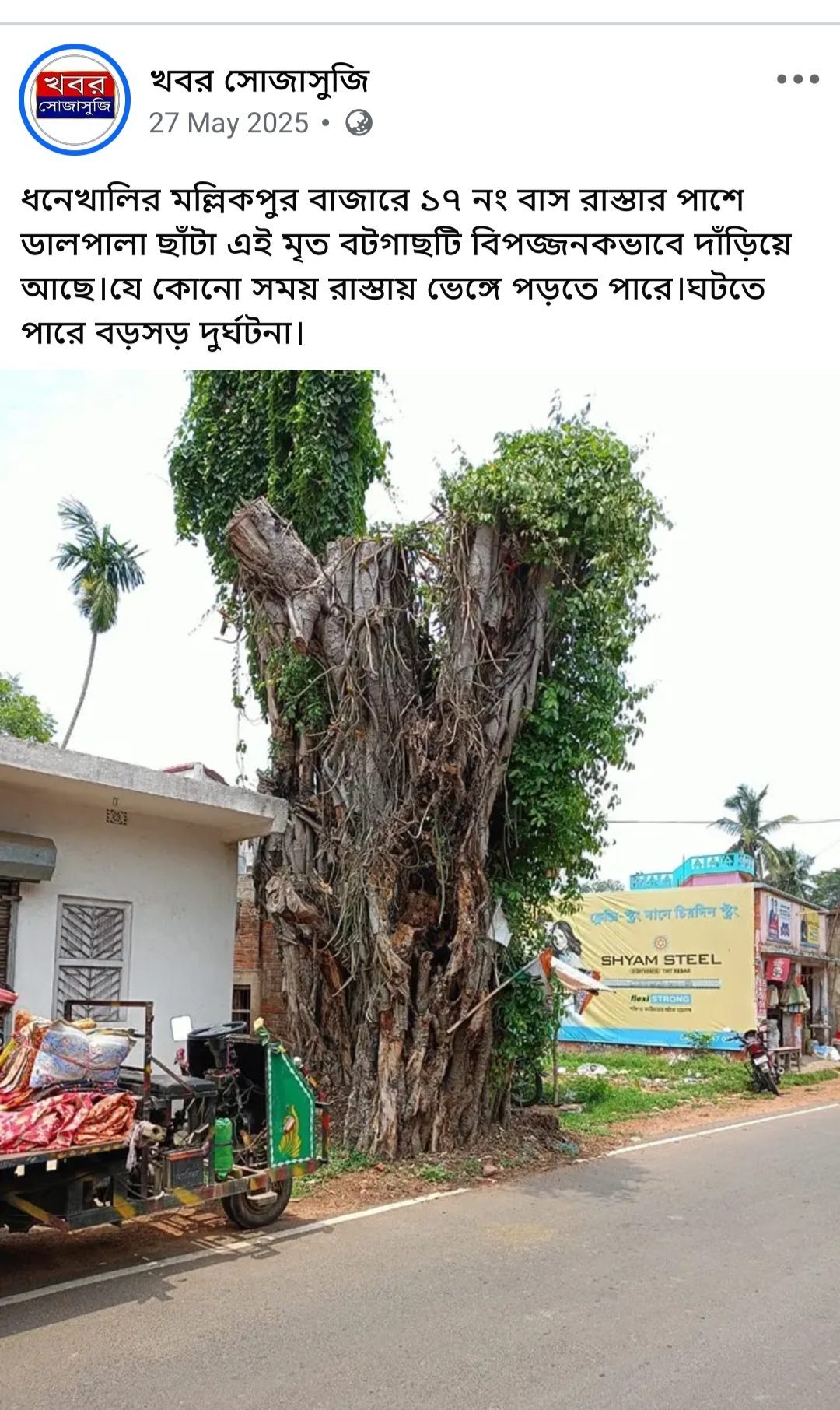 গাছ ভেঙে ভয়াবহ দুর্ঘটনা ধনেখালিতে