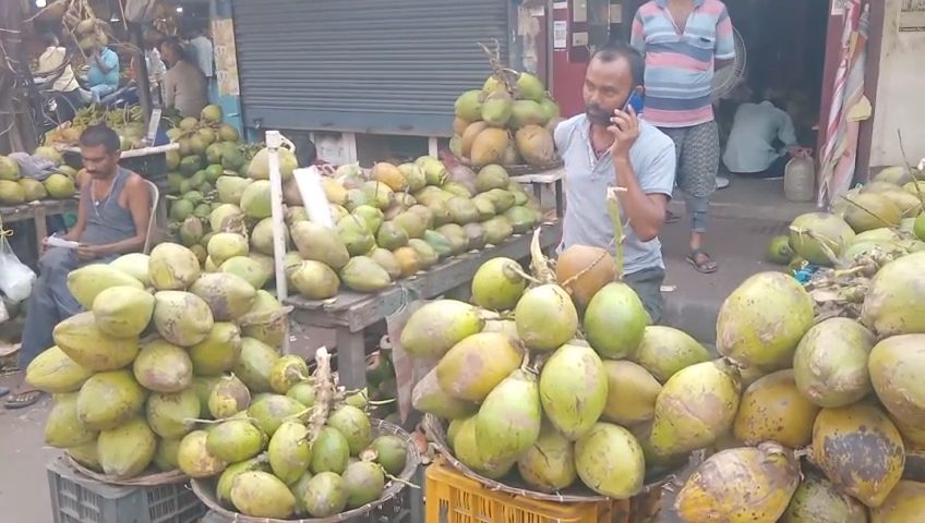 অত্যধিক গরমে ডাবের চাহিদা থাকলেও দামের ছ্যাঁকায় বিক্রিতে ভাটা !
